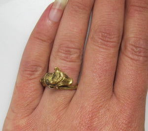 We have a cow ring!